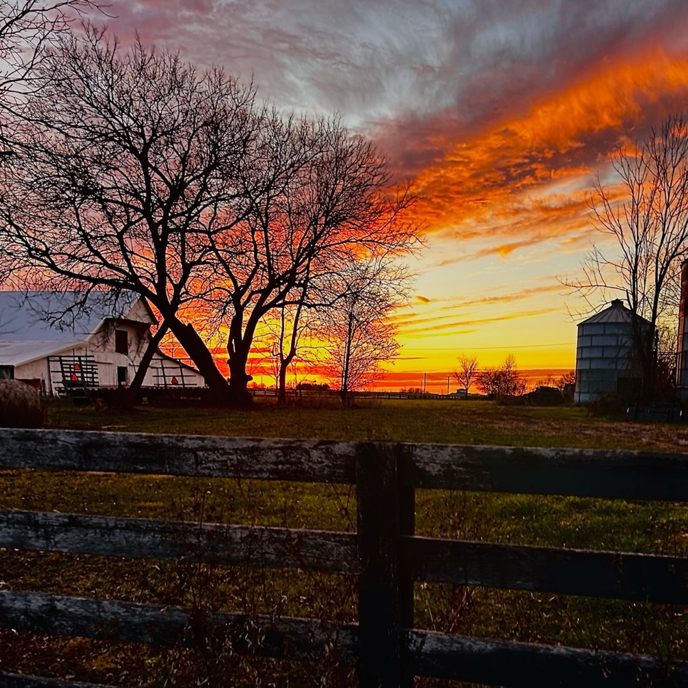 Orange and Yellow Sunset Photography Art